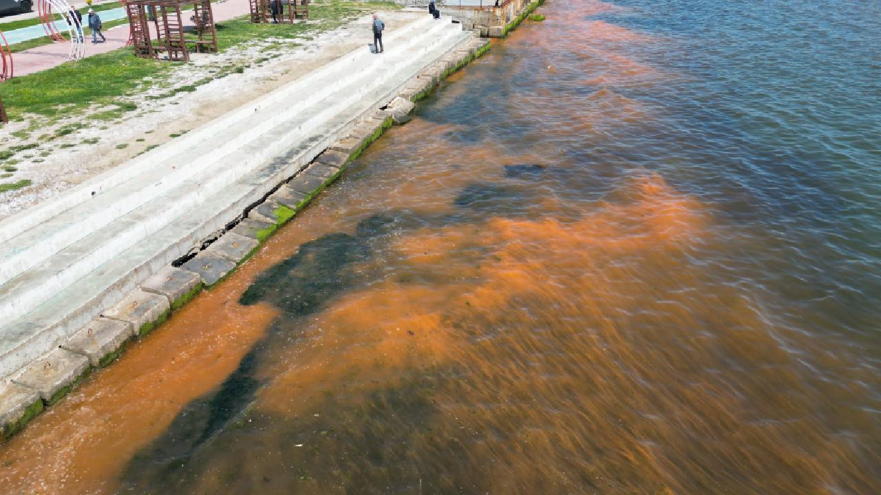 Marmara Denizi'nin Tekirdağ kıyıları, yükselen hava sıcaklıklarıyla birlikte turuncuya boyandı. Uzmanlar, korkulacak bir durum olmadığını ve bunun tamamen mevsimsel bir plankton patlaması olduğunu açıkladı.